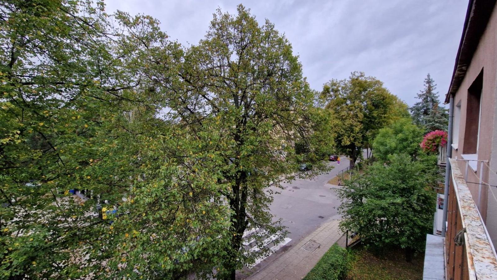 Apartament Classic Apartment Малборк Екстериор снимка